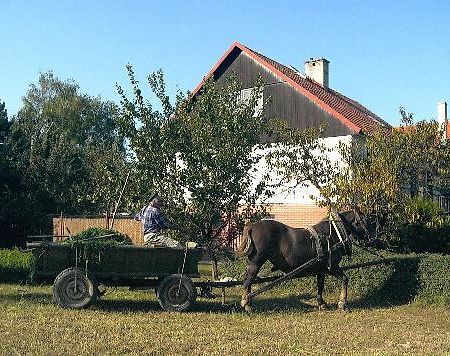 Beckov Platanus B&B 외부 사진