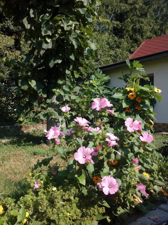 Beckov Platanus B&B 외부 사진