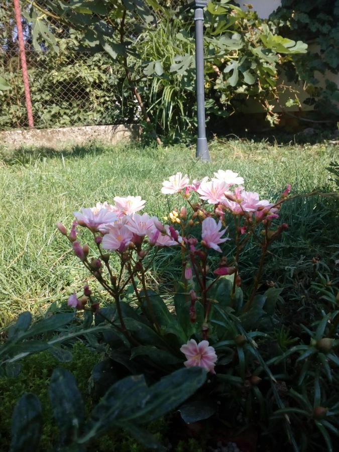 Beckov Platanus B&B 외부 사진